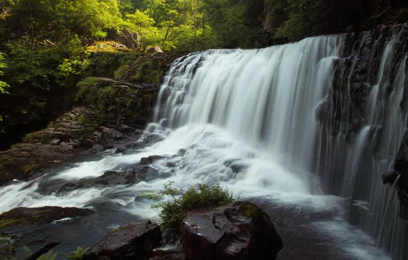 Forest, trees, stones, rocks, shore, waterfall, stream, power