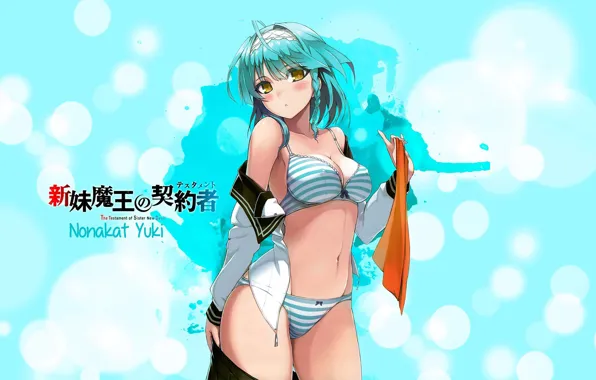 Pantsu, panties, boobs, breast, tits, chest, panty, thigh