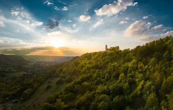 Greens, forest, castle, hills, tower