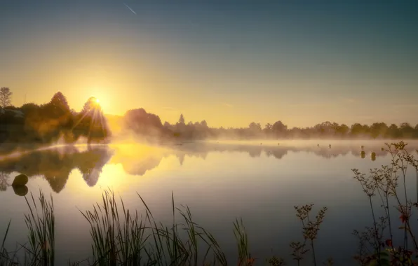 Landscape, fog, lake, morning