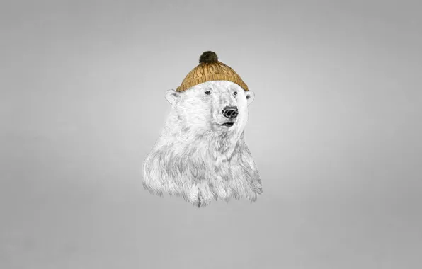 Hat, polar bear, bear, dark background