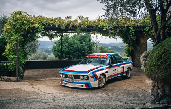Picture BMW, 1973, front view, BMW 3.0 CSL (E9), iconic