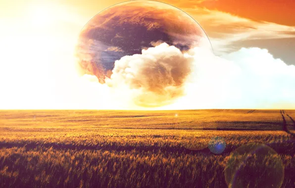 Field, the sun, Planet, Blik