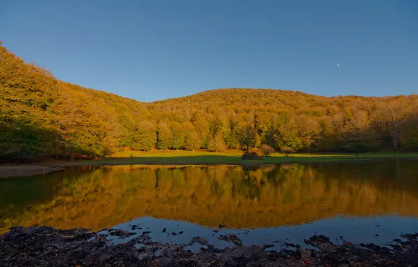 Picture Nature, Autumn, Lake, Forest, Nature, Fall, Autumn, Colors