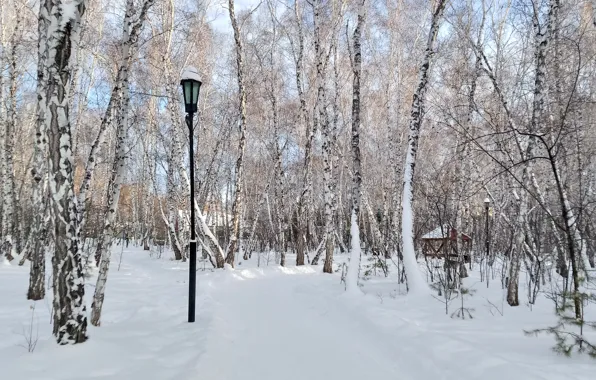 Winter, road, forest, the sky, snow, street, white, blue