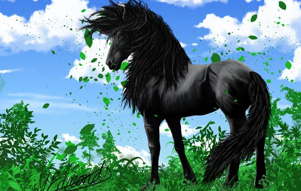 Picture the sky, grass, look, leaves, clouds, animal, horse, black