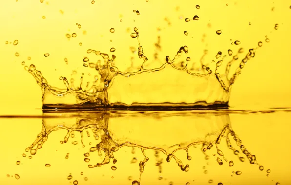 Squirt, color, liquid, crown