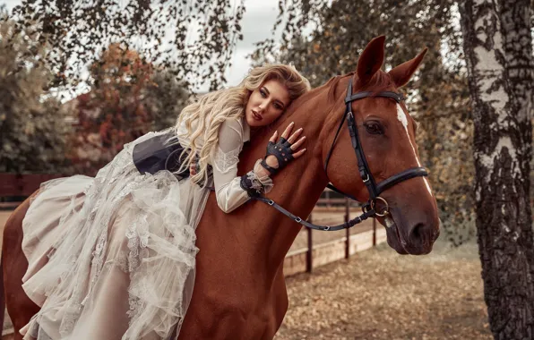Picture girl, pose, horse, horse, dress, rider, Maxim Clip