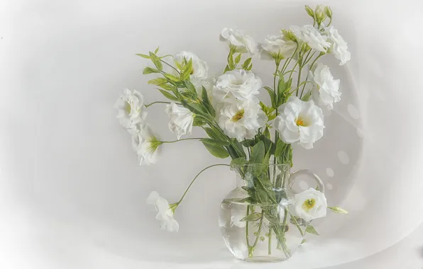 Water, flowers, bouquet, pitcher, white, still life, light background, eustoma