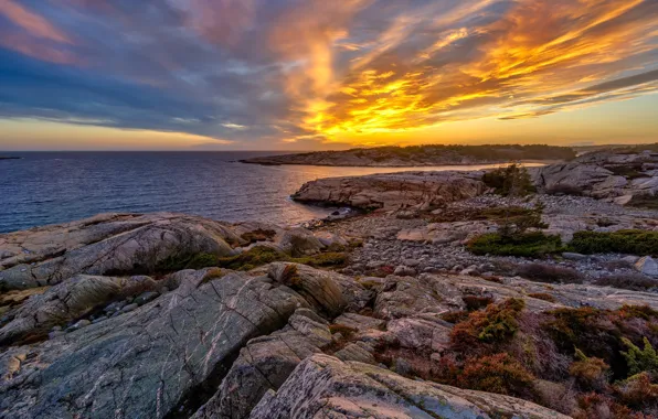 Picture sunset, coast, Norway
