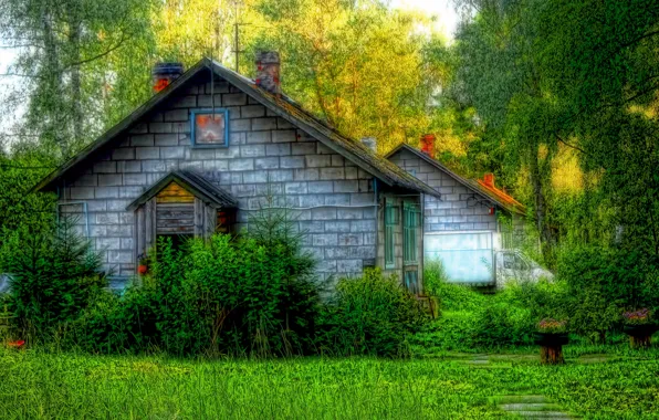 Summer, trees, house, HDR, Russia, St. Petersburg, St. Petersburg, Pushkino