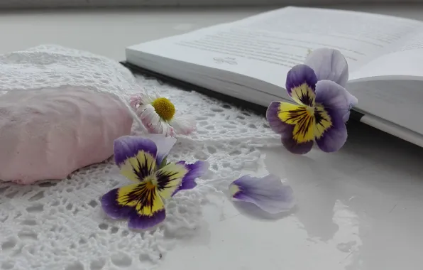Flowers, table, petals, Daisy, book, Pansy, light background, lace
