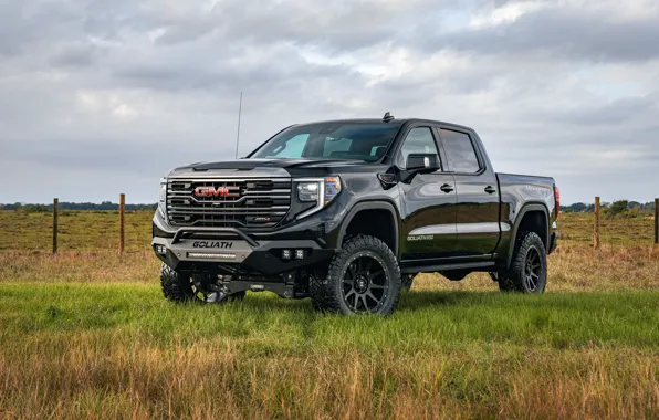 Picture GMC, Hennessey, Sierra, Off-Road, 2023, Goliath 650, GMC Sierra AT4