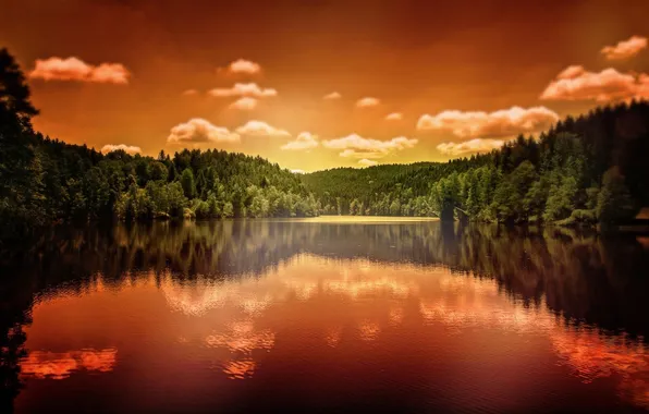 Nature, reflection, ate, pond, Sandra Dombrovsky