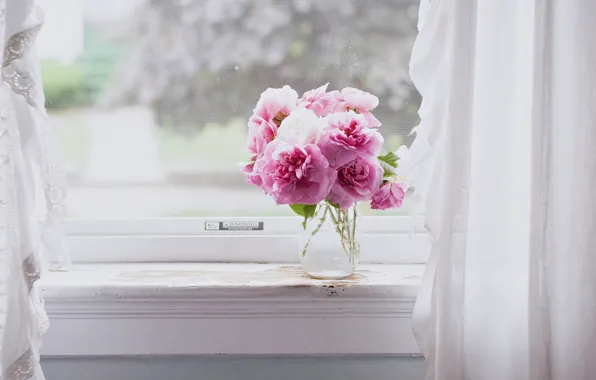 Flowers, pink, Windows, still life, pink flowers