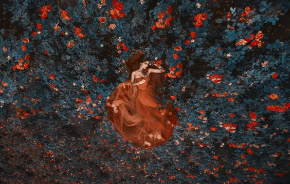 Girl, flowers, glade, roses, garden, red dress, rose bushes, Alexey Vladimir
