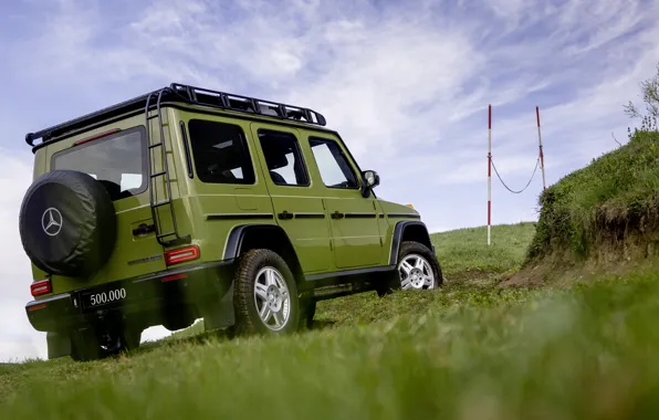 Picture Mercedes-Benz, Grass, Gelandewagen, Back, Mercedes-Benz G-Class, Four-wheel drive automobile, Four-wheel drive car