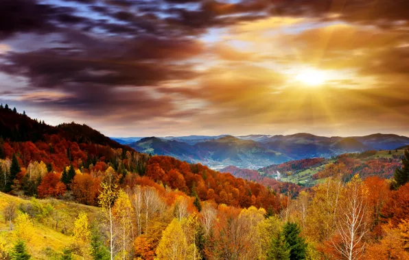 Picture autumn, forest, the sky, clouds, trees, mountains, dawn, the rays of the sun