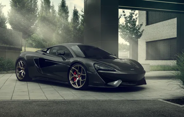 Trees, house, lights, Shine, plant, metal, supercar, house
