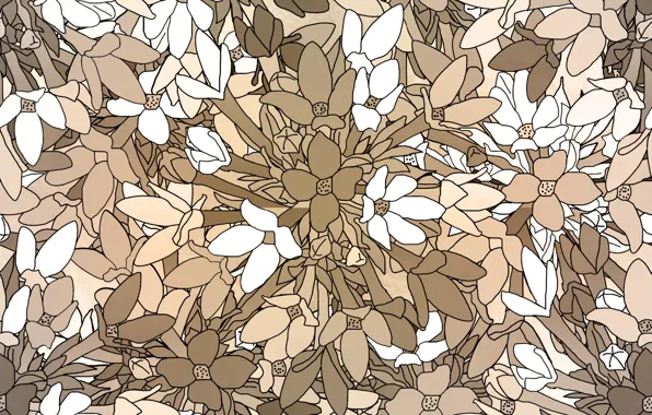 White, flowers, abstraction, background, texture, Background, Pattern, Floral