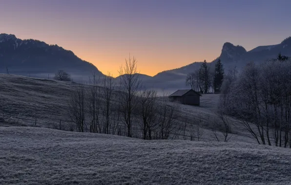 Picture field, house, morning