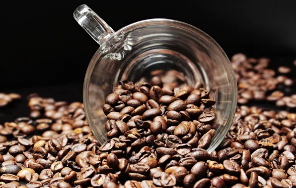 Coffee, Cup, coffee beans