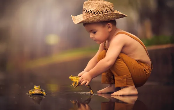 Boy, puddle, toad, frogs