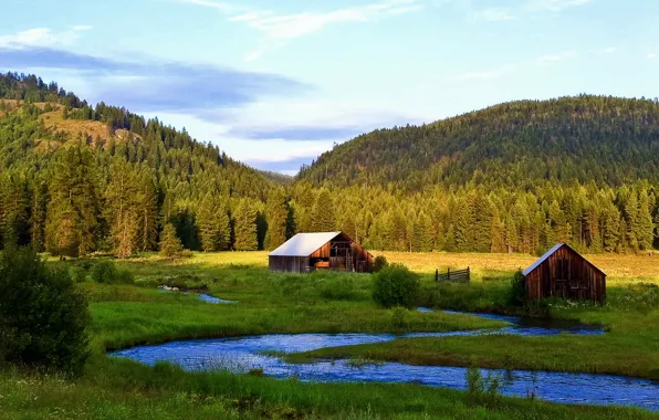 Picture forest, the sky, grass, trees, mountains, river, stream, home