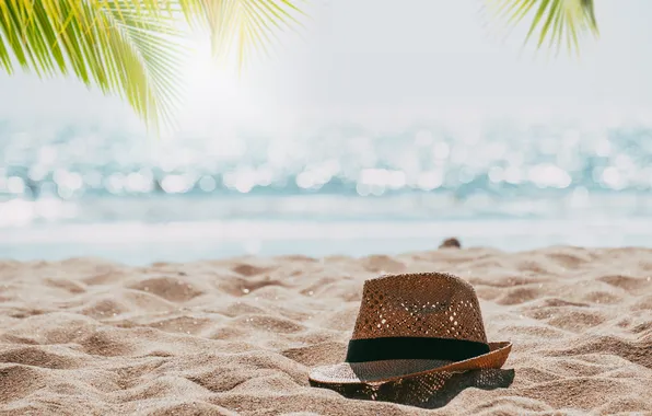 Sand, sea, wave, beach, summer, the sky, the sun, palm trees