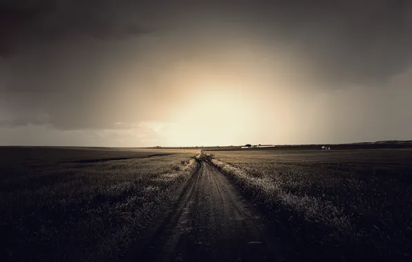Picture road, field, the sky, grass, the sun, clouds, light, landscape, nature, grass, road, sky, field, …
