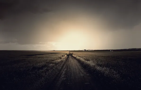 Road, field, the sky, grass, the sun, clouds, light, landscape