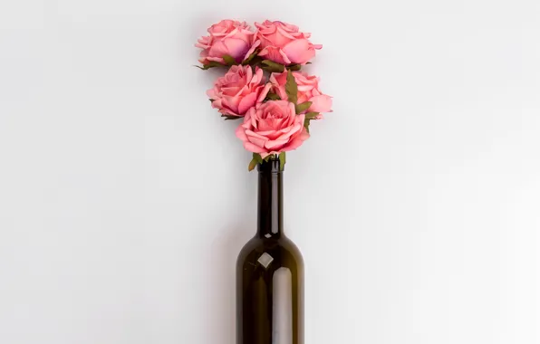Picture flowers, bottle, roses, bouquet, pink, pink, flowers, roses