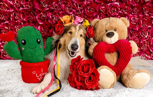 Dogs, look, face, flowers, pose, heart, dog, bear