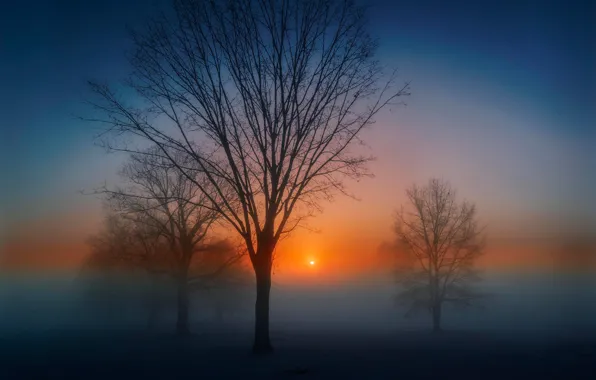 Picture the sun, morning, Misty dawn