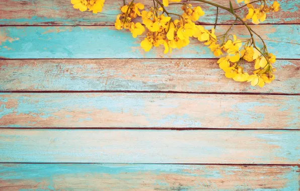 Picture flowers, spring, yellow, vintage, yellow, wood, flowers, spring