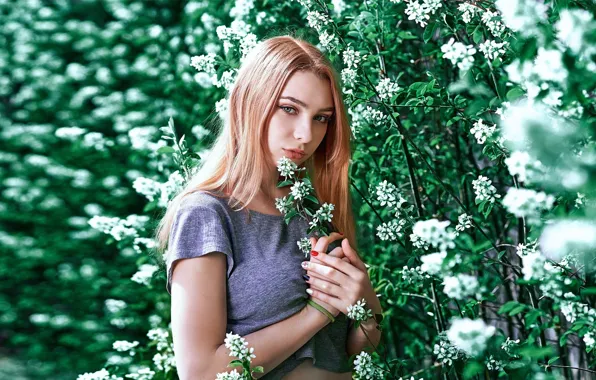Picture girl, flowering, Aliona Turcan, Vyacheslav Turcan
