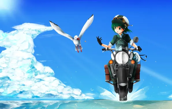 Picture sea, clouds, squirt, bird, Seagull, art, motorcycle, girl