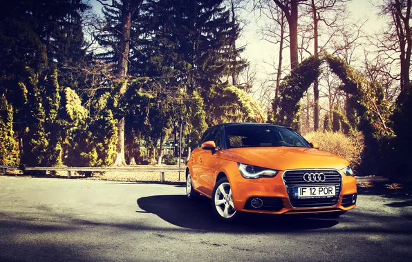 Picture Audi, Audi, Orange, Sportback