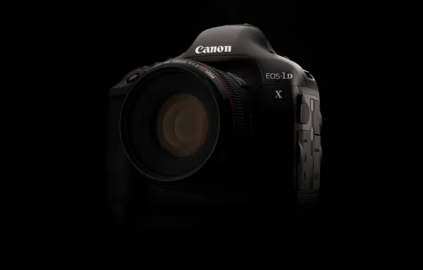 Macro, camera, Canon