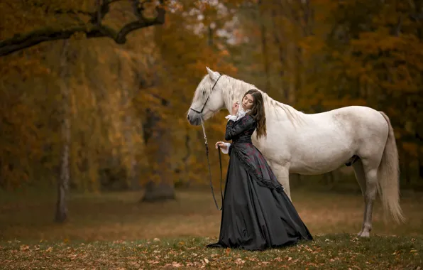 Picture autumn, girl, horse