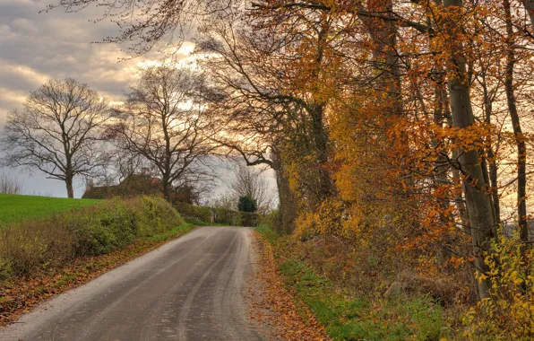 Picture road, autumn, forest, clouds, trees, branches, foliage, home