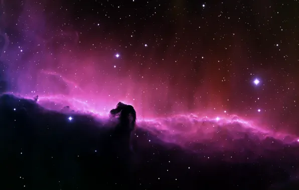 Stars, Nebula, Horse Head