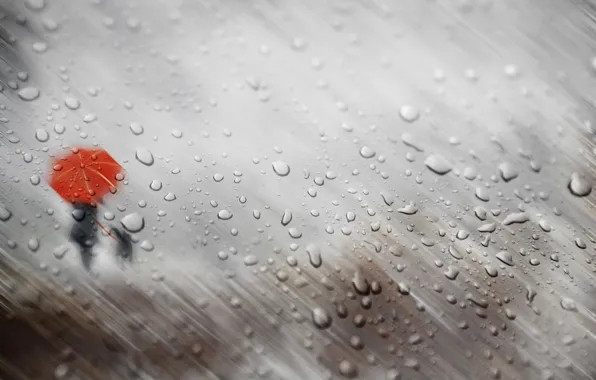 Autumn, glass, girl, drops, rain, dog, umbrella, silhouettes