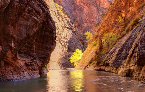 Wallpaper light, mountains, trees, pond, lake, rocks, autumn, canyon