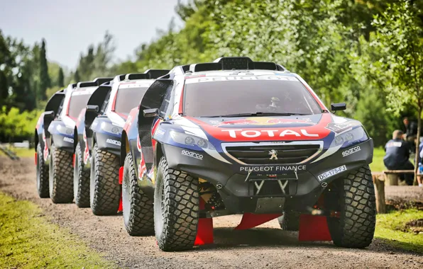 2008, Sport, Three, Race, Peugeot, Lights, Red Bull, Rally