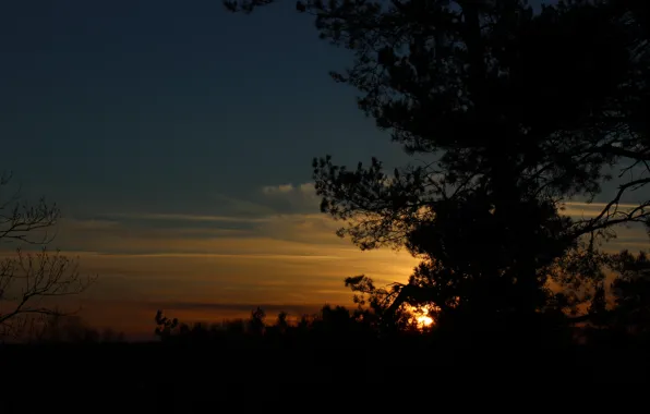 Picture the sky, trees, landscape, sunset, nature, silhouette, real photo