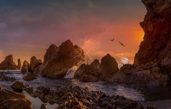 Picture landscape, sunset, squirt, birds, nature, stones, the ocean, rocks