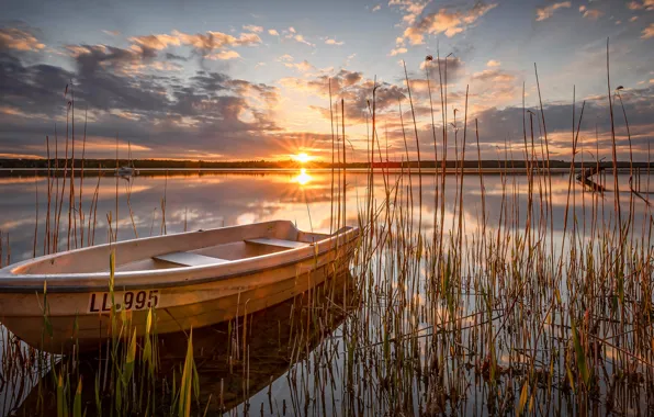 Sunset, lake, boat, Germany, Bayern, reed, Germany, Bavaria