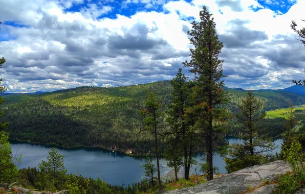 Forest, landscape, nature, lake, photo, Washington, USA, Bonaparte