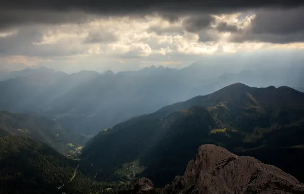 Forest, the sky, clouds, rays, light, mountains, clouds, fog